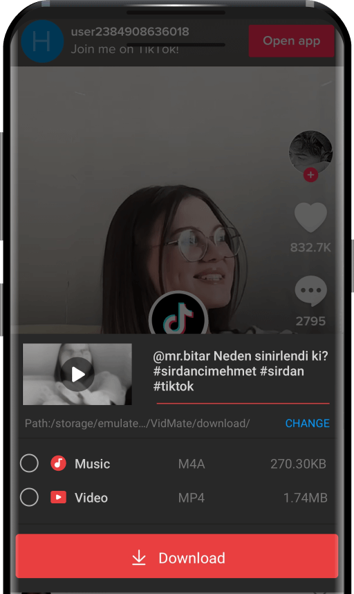 Download TikTok Videos